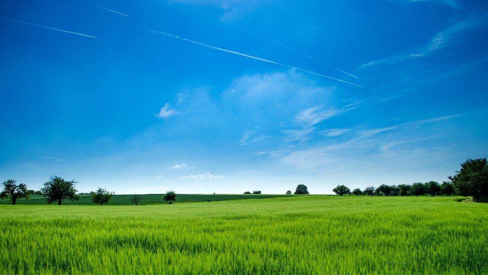 Open green farmland under a wide blue sky